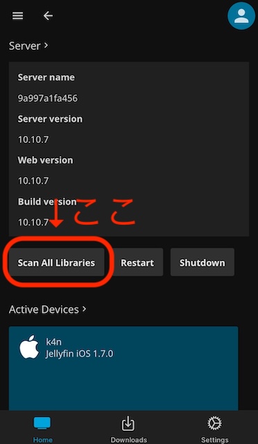 Jellyfinのダッシュボード