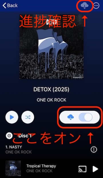 Substreamerのアルバムダウンロード